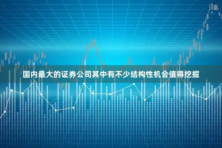 国内最大的证券公司其中有不少结构性机会值得挖掘